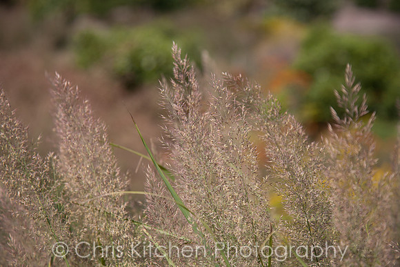 _MG_6928