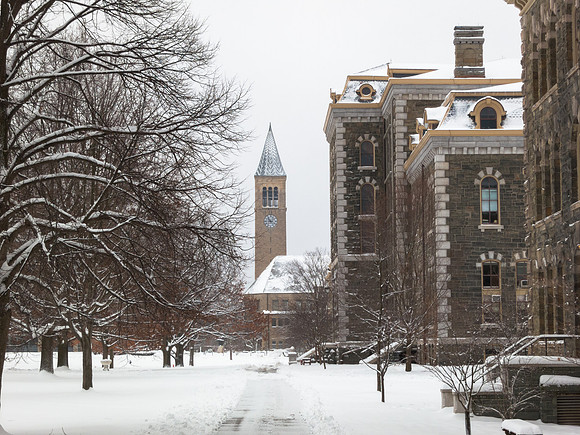 Arts Quad