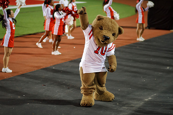 Touchdown the bear