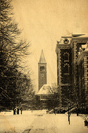 Arts Quad