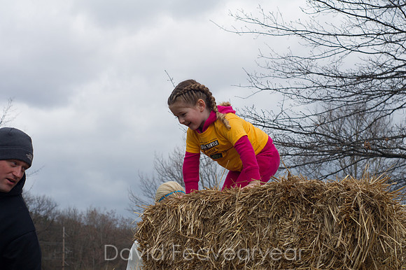 _DSC1248