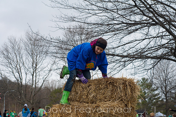 _DSC1435