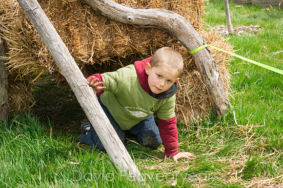 _DSC1498