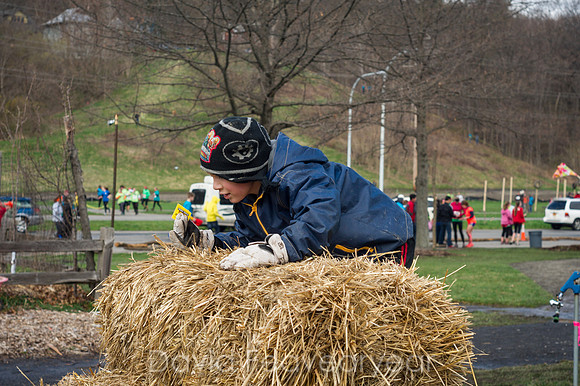 _DSC1517