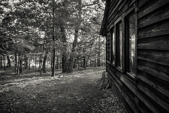 The cabin in the woods