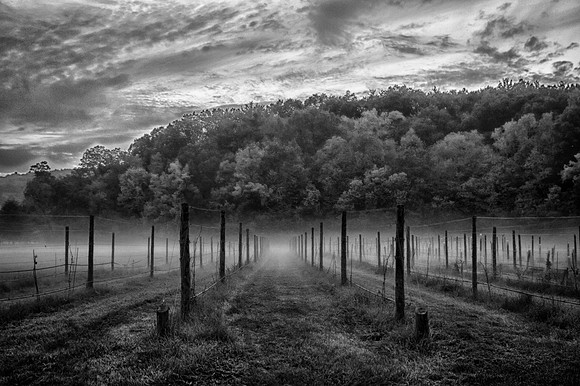 Lower Treman State park, as the fog rolls in