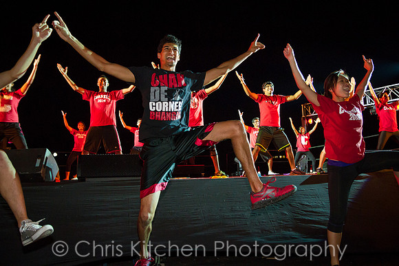 HC2013-2213