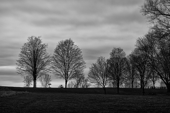 _MG_5551