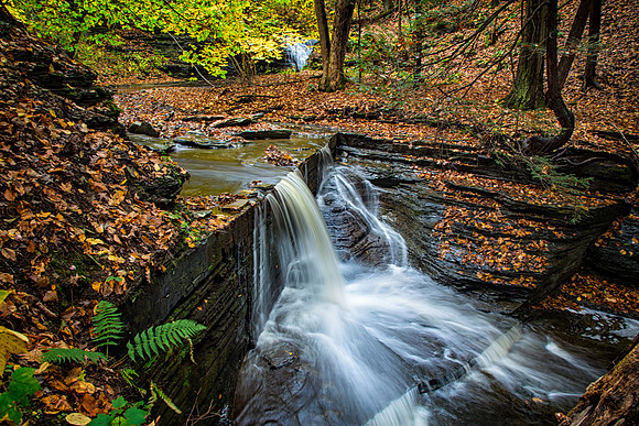 Lick Brook creek in fall