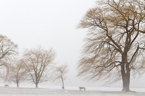 Stewart Park during a snow storm