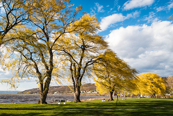 Stewart Park 5-14-14