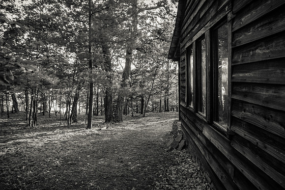 The cabin in the woods