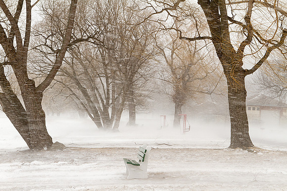 Stewart Park during a snow storm