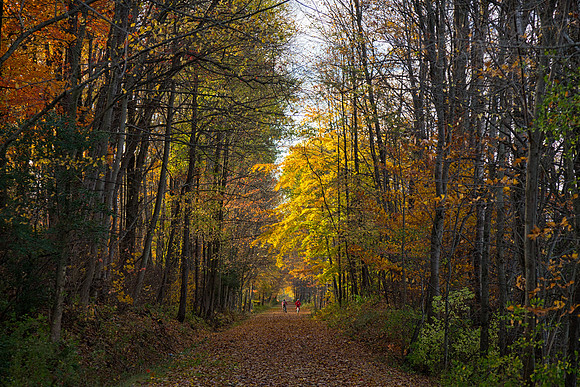 Jim Schug Trail in Dryden NY