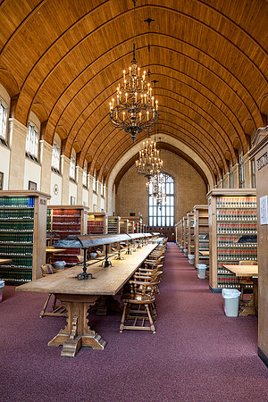 Law Library