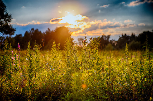 Golden hour HDR