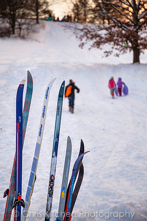 Winter fun at Cornell Plantations Arboretum