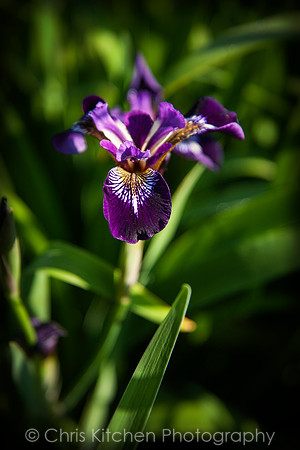 _MG_9822-2