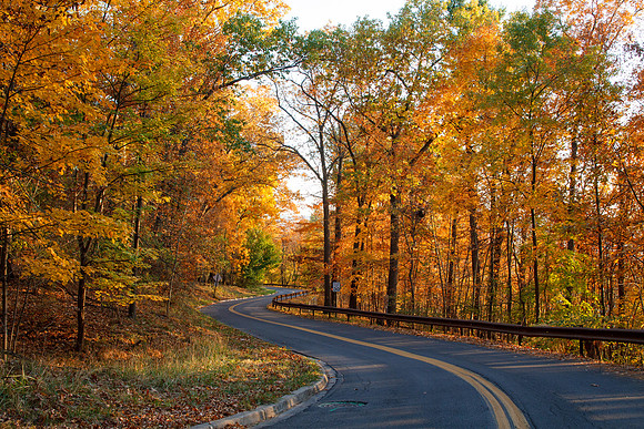 One of my favorite roads in Ithaca looking glorious this afternoon.